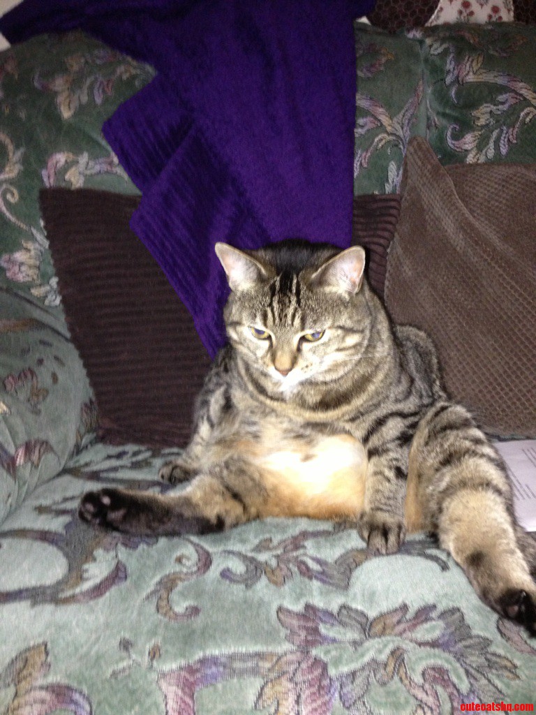 Just Chillin