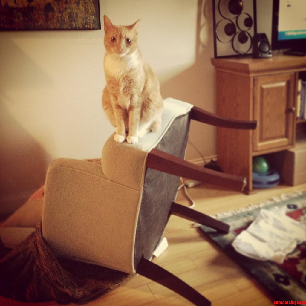 Just Doing a Bit of Redecorating Mom