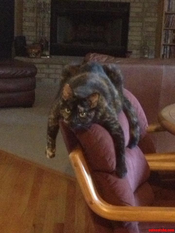 Just Hanging Out. .