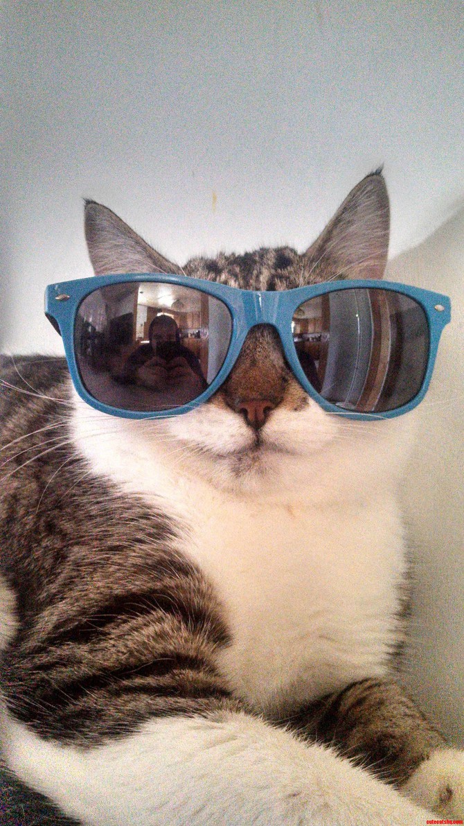 Just Rigby Being Rigby.