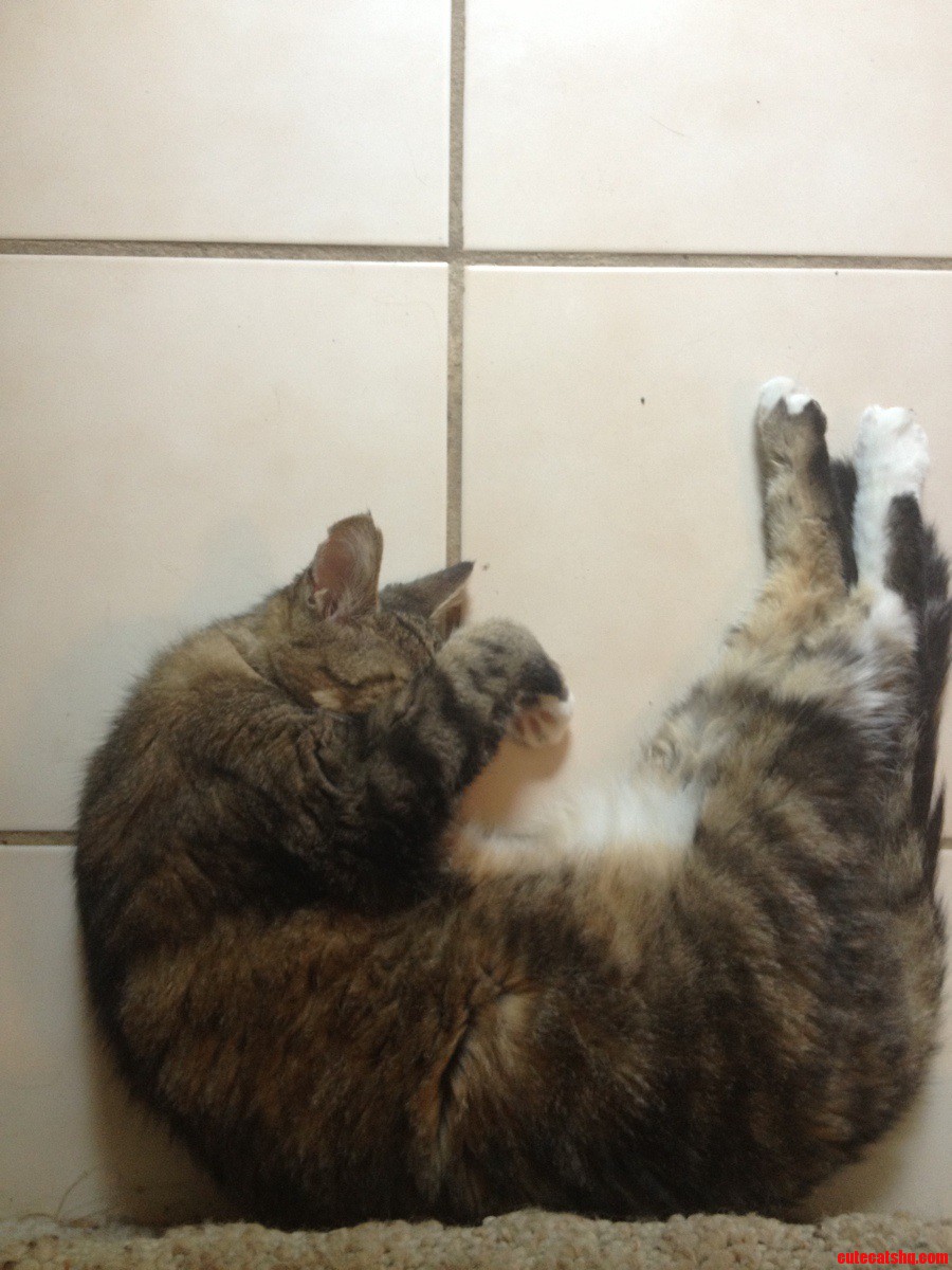 Just Chilling