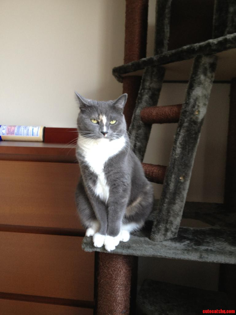 Kiki Is Not Amused.