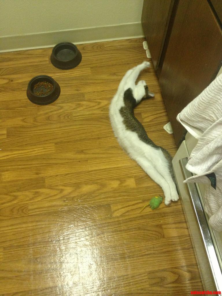 Kitchen Yoga
