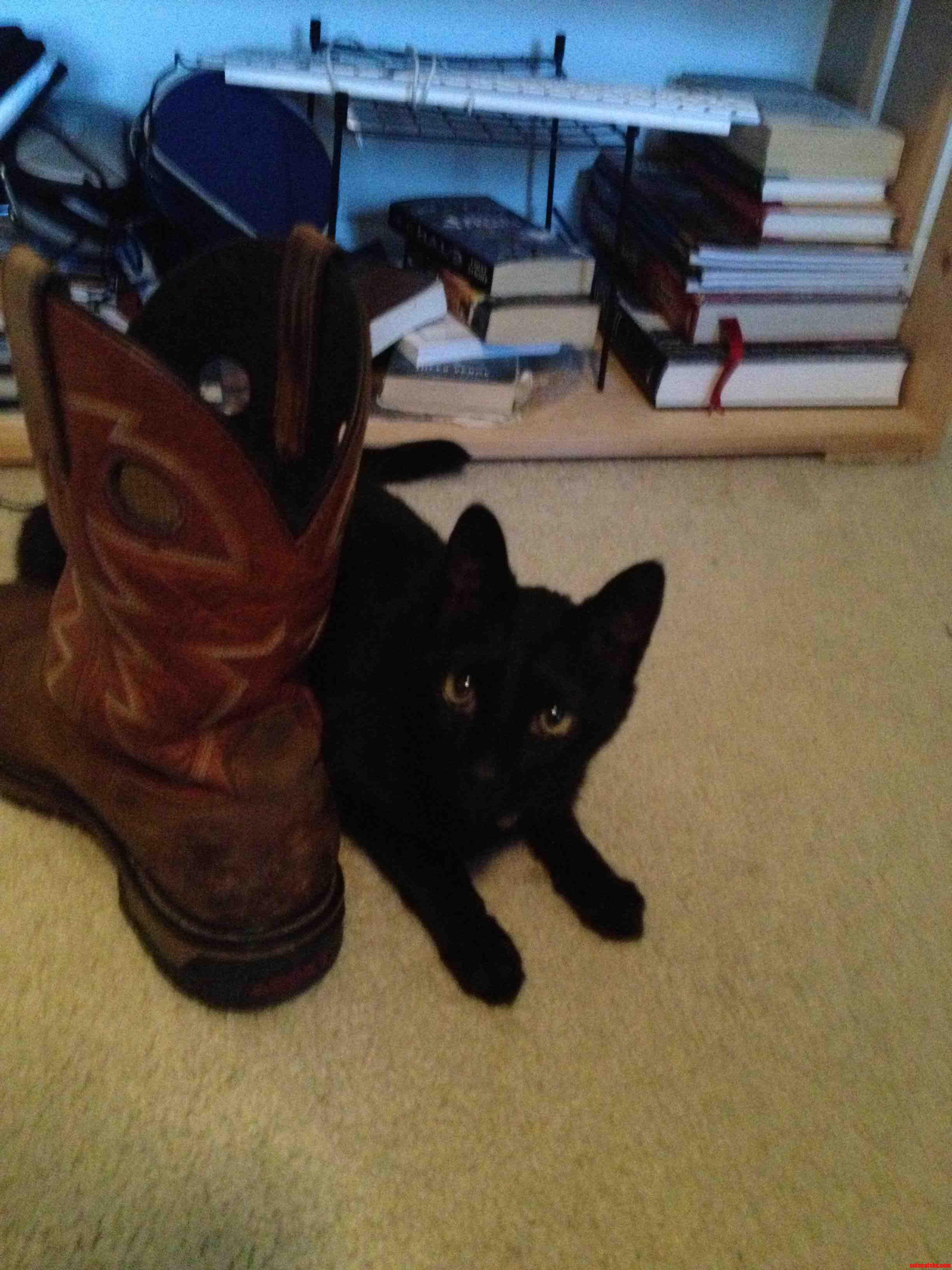 Kitty Likes to Play with My Boots