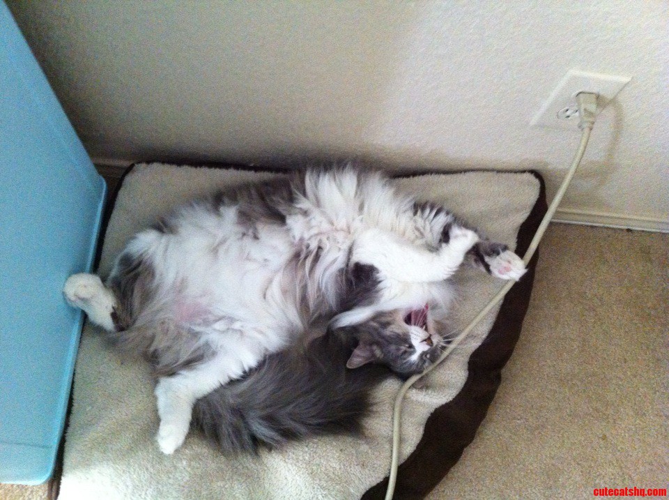 Lenny's Nap Time