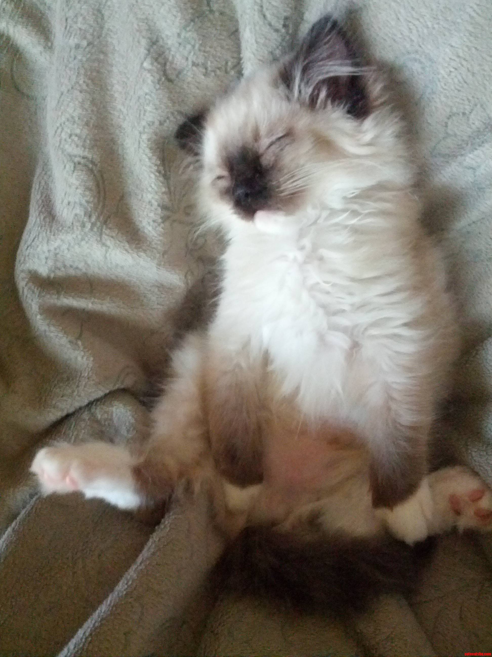 Lola Ko D Showing Off Her Belly