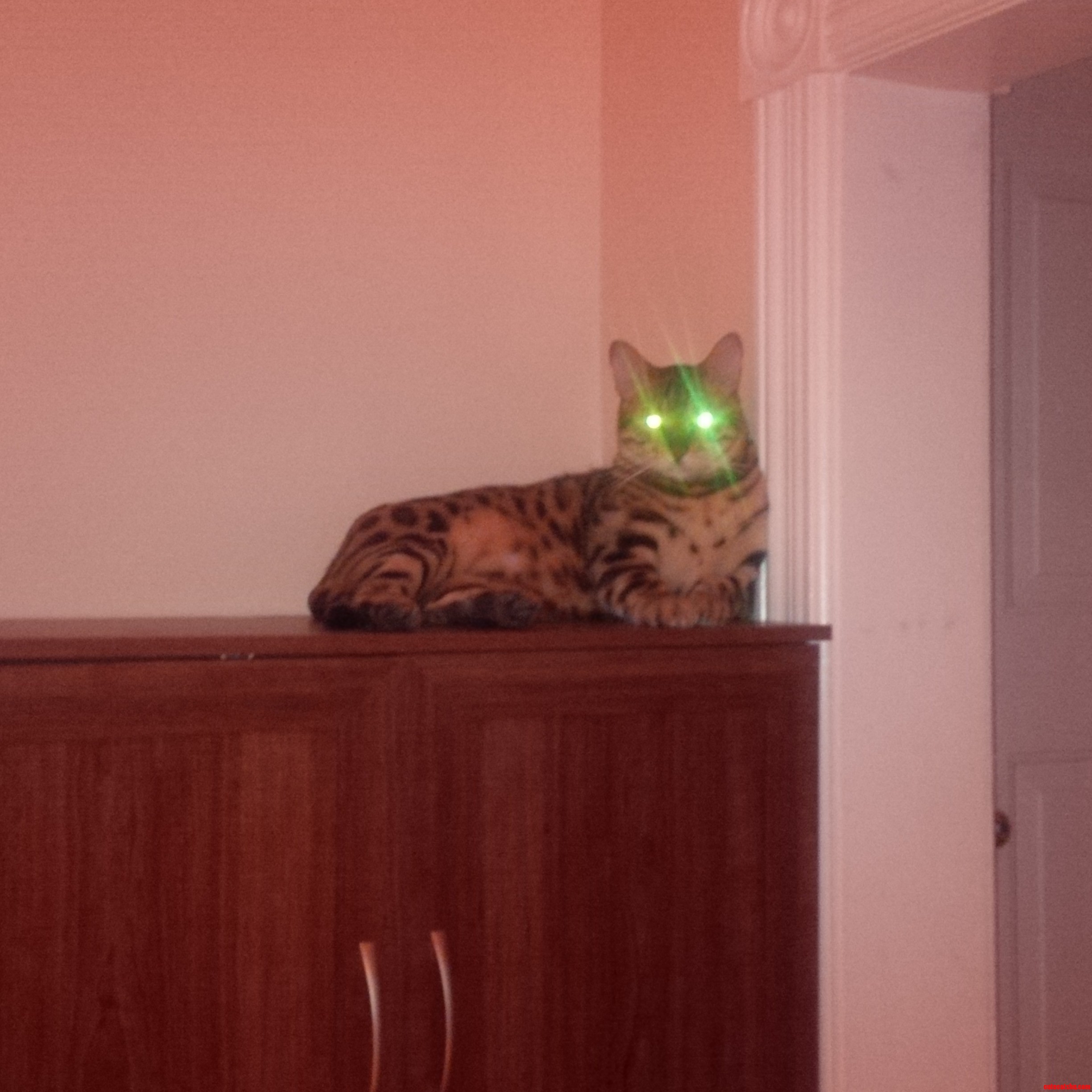Look Into My Eyes  the Eyes  Not Around the Eyes.