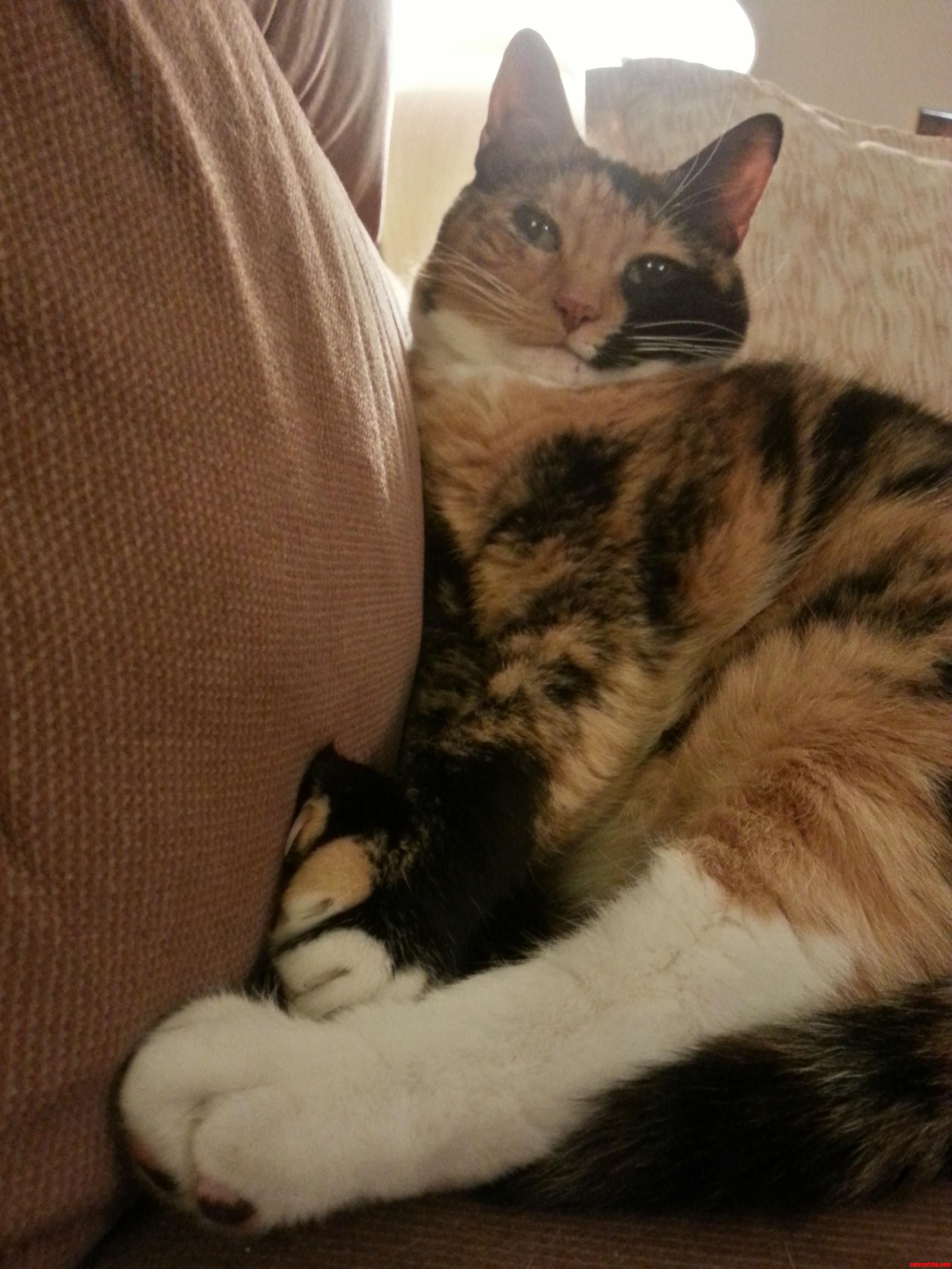 Marci and Her Feets