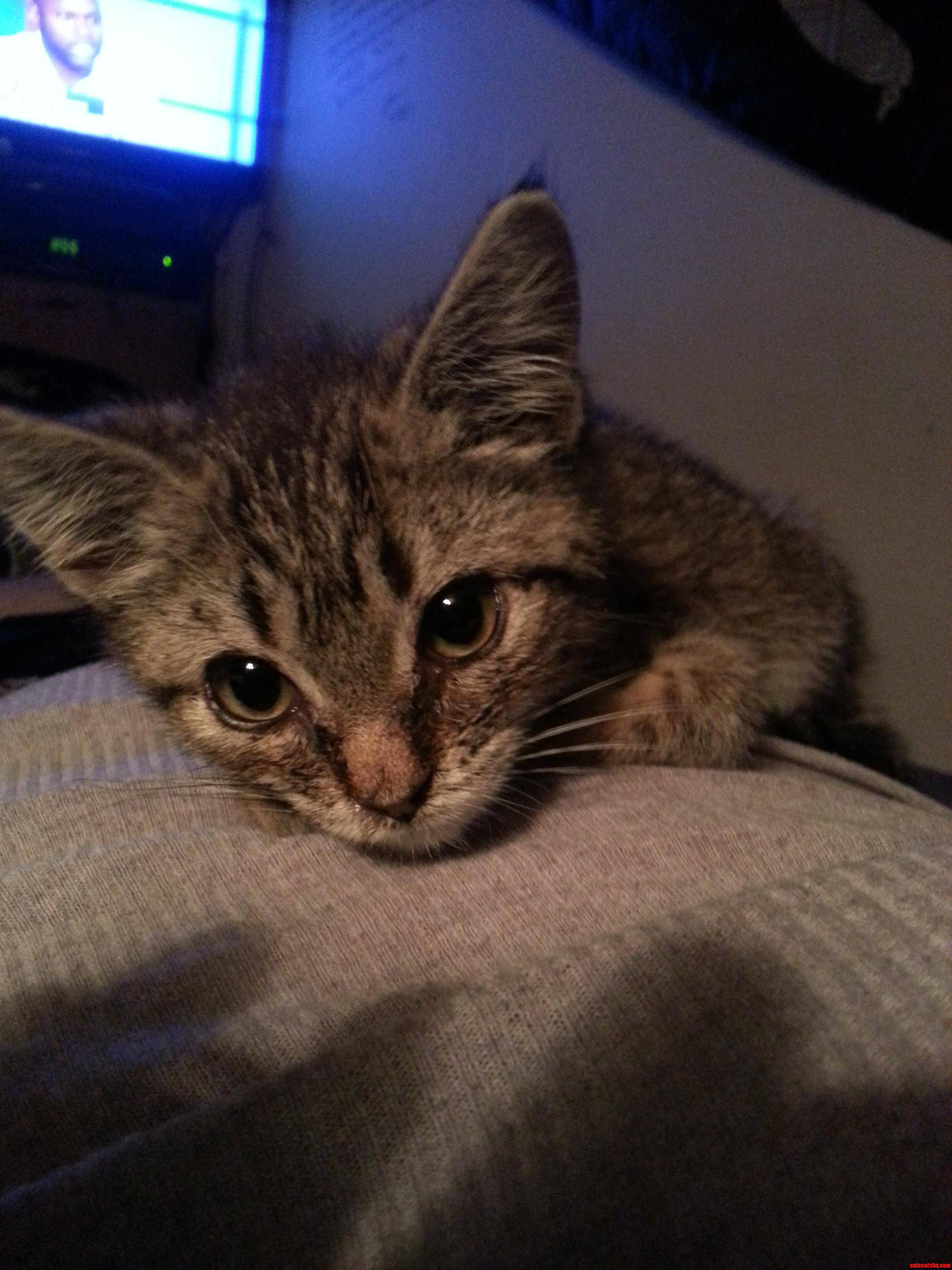 Meet Abigail