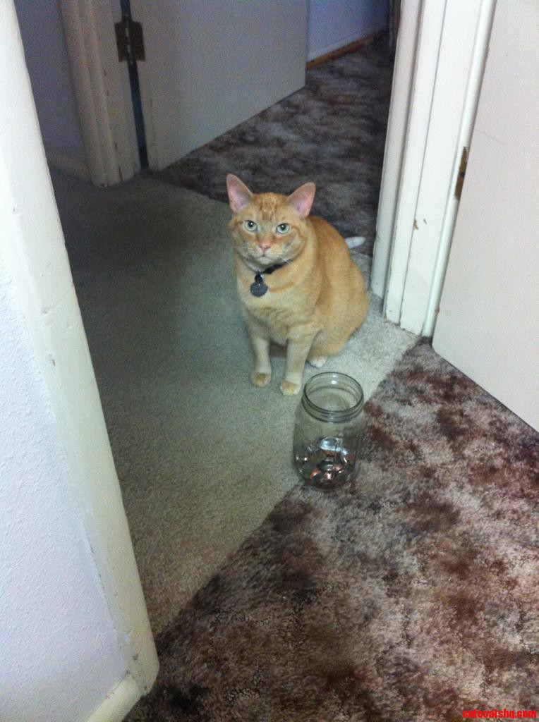 Meet Bruce Willis.