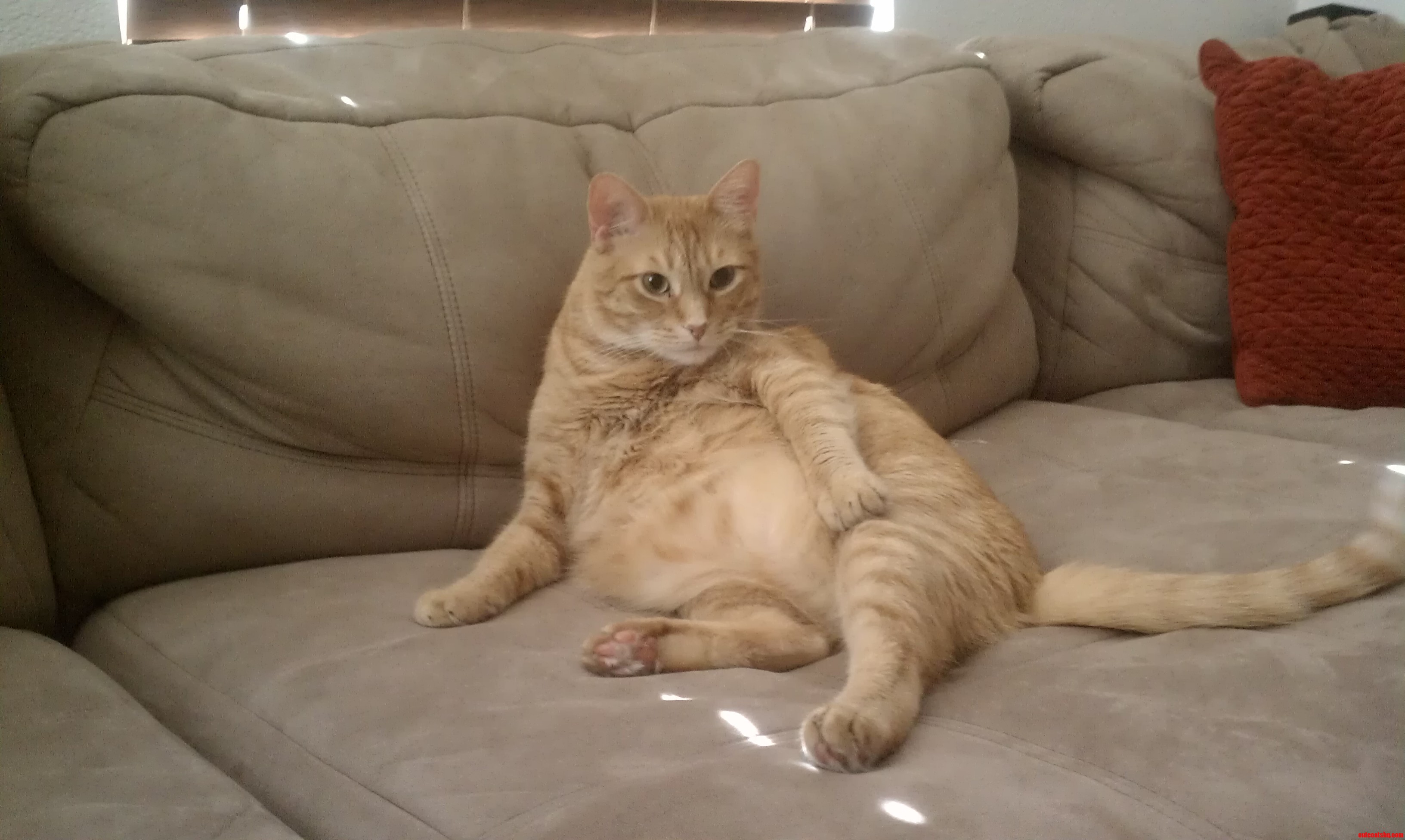 Meet Fat  As Sensual As Ever
