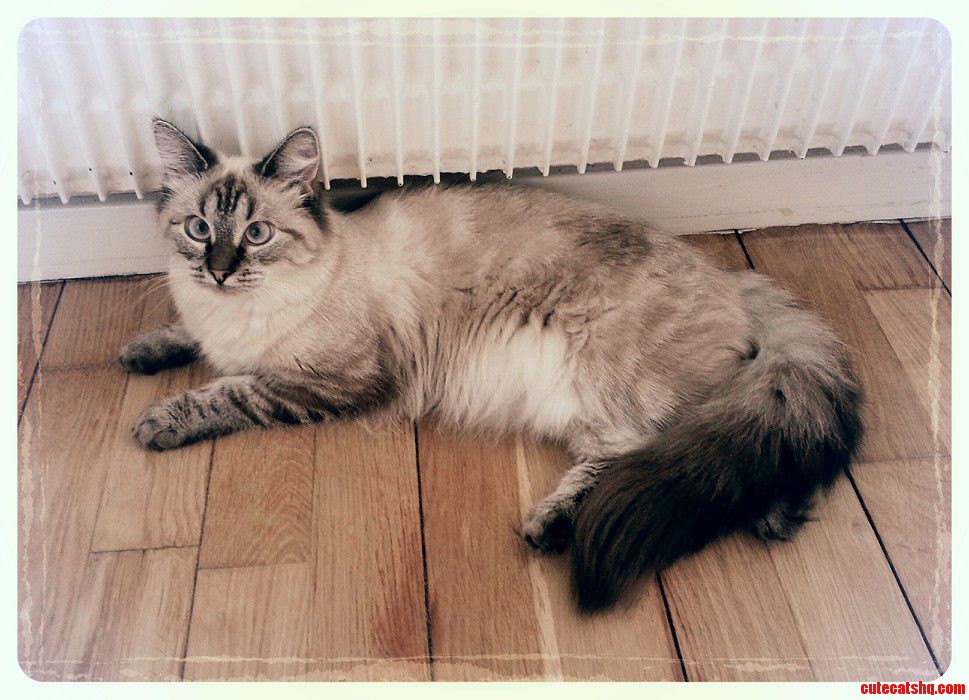 Moya Is Now 1 Year Old.