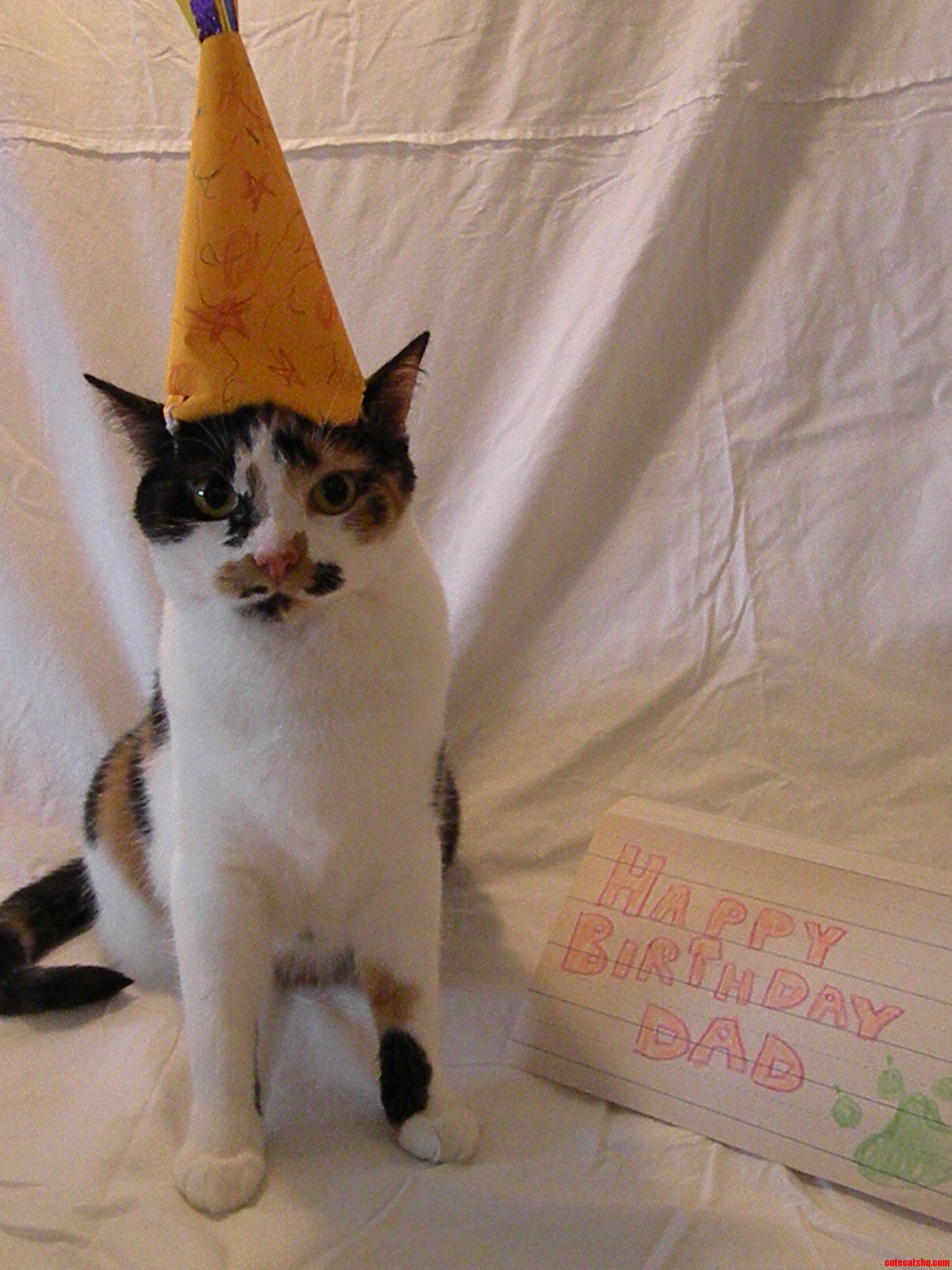 My Brother Had to Temporarily Surrender His Beloved Monster Into Our Mother S Care. I Give You - His Birthday Present.
