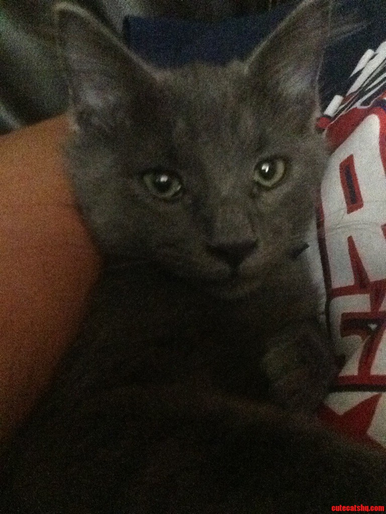 My Cat Little Foot.