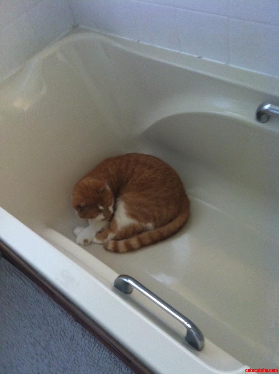 My Cats Current Sleeping Spot