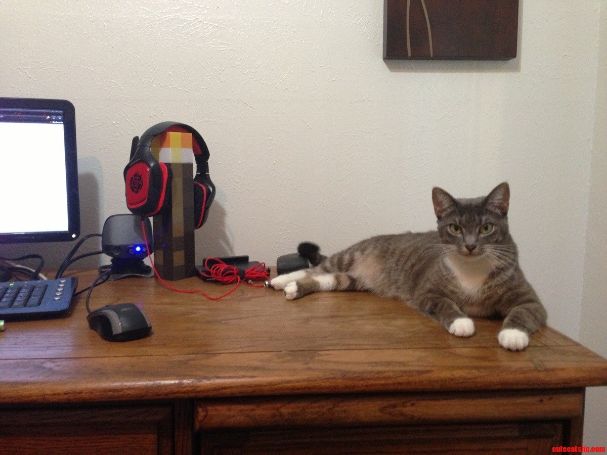 My Desk Friend