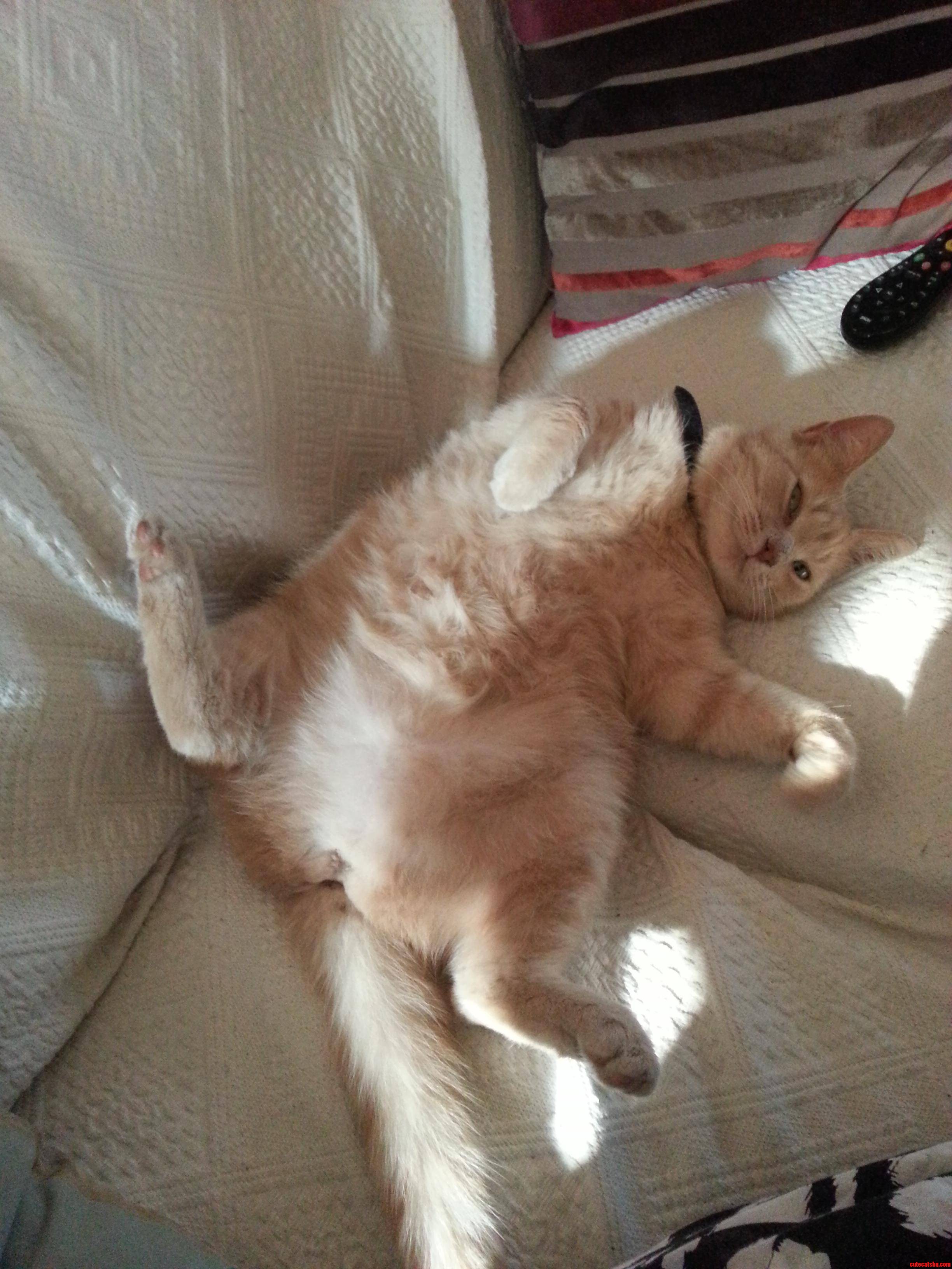 My Fatty Ruby Has No Shame-the Little Hussy