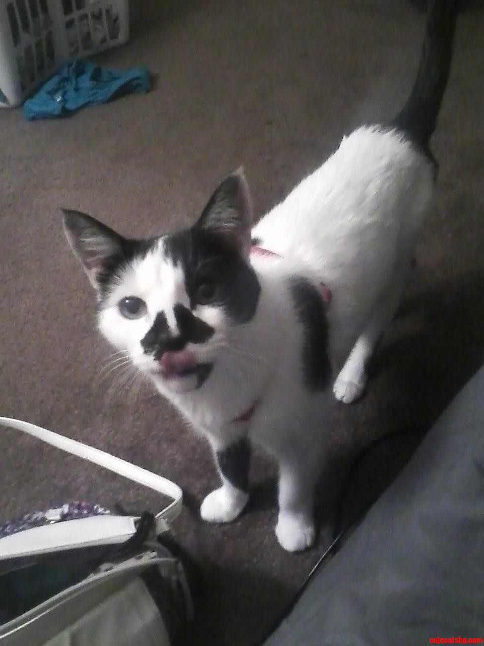 My Handsome Old Man Pirate. He Is Sixteen and Loving Life