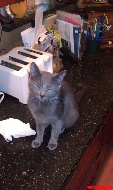 My Little Buddy Gris-gris Helping Me Out on Brewing Day. Inspecting the Facilities