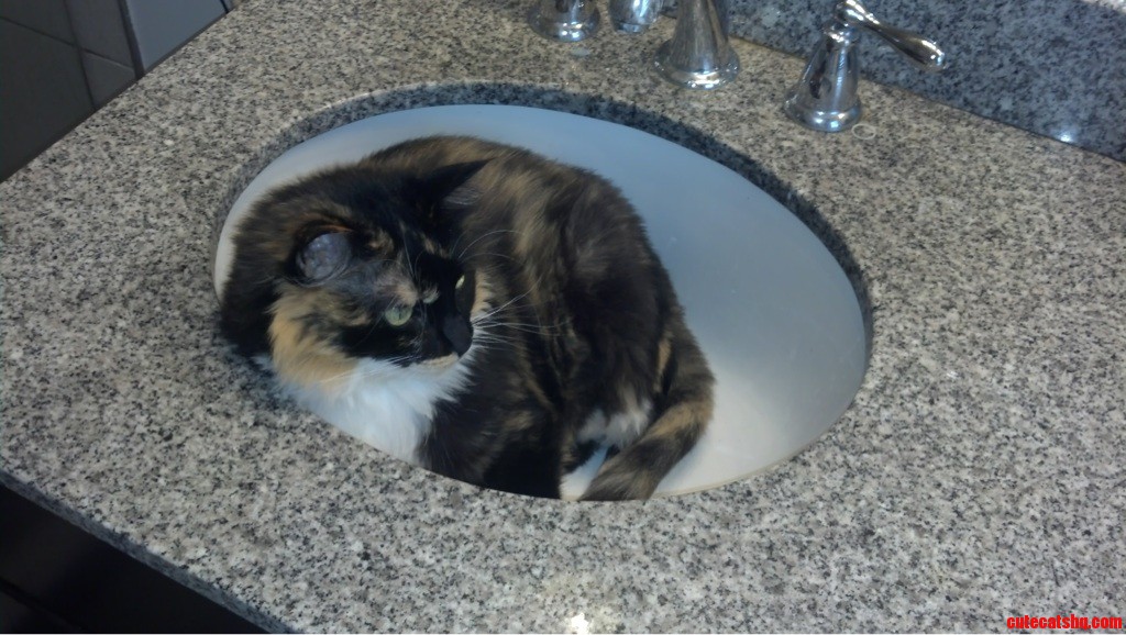 My Sink