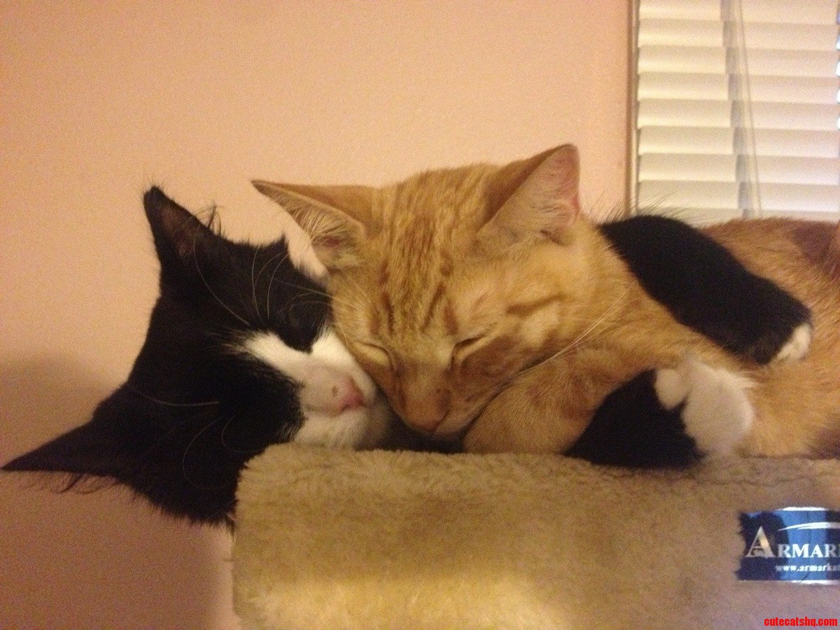 My Two Boys Aren't Afraid to Bro Hug