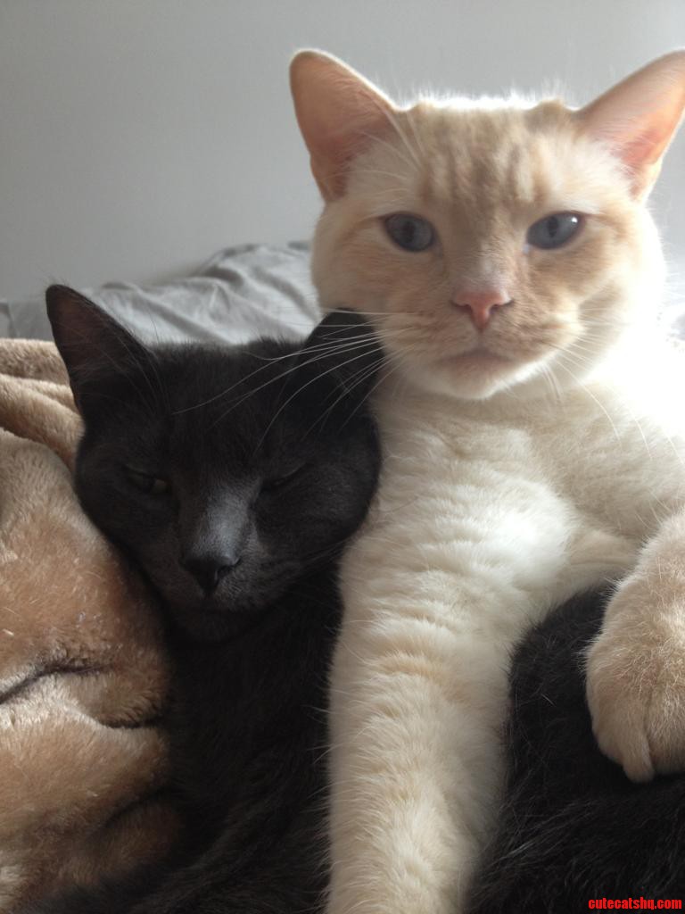 My Two Bros.