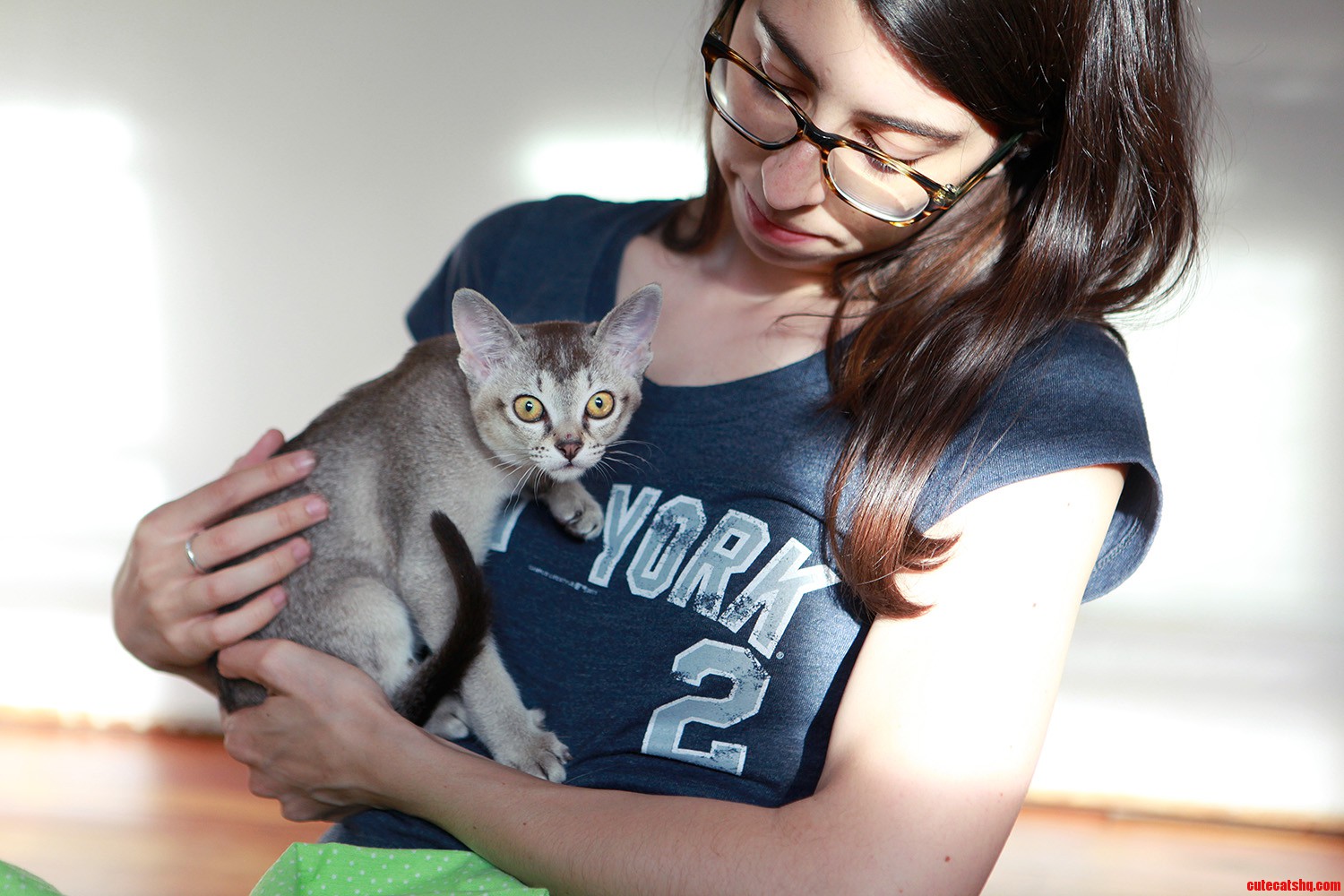 My Wife Handling Our Kitten Gladys on Our First Day with Her