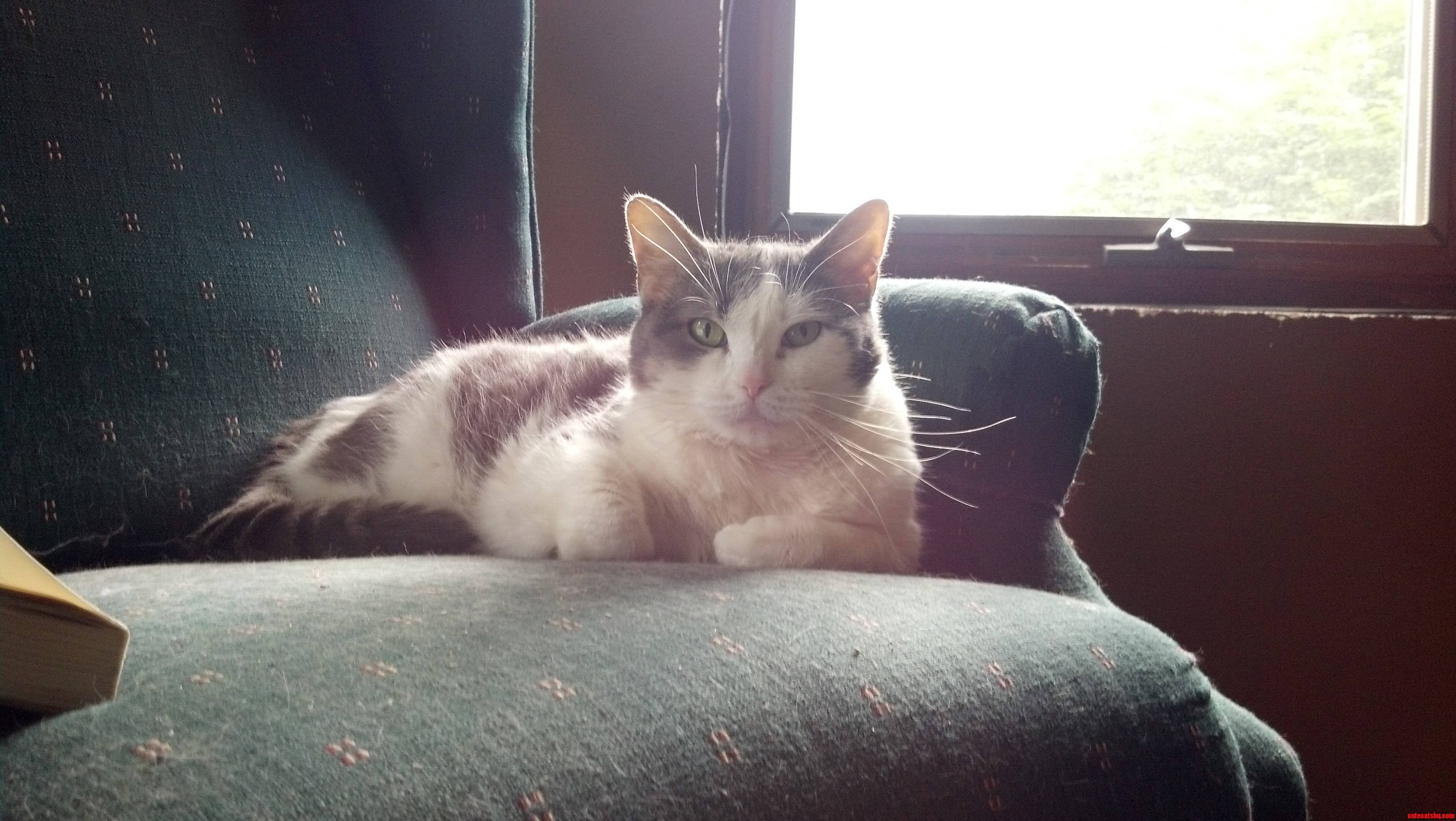 Natasha Just Chilling in the Warmth.