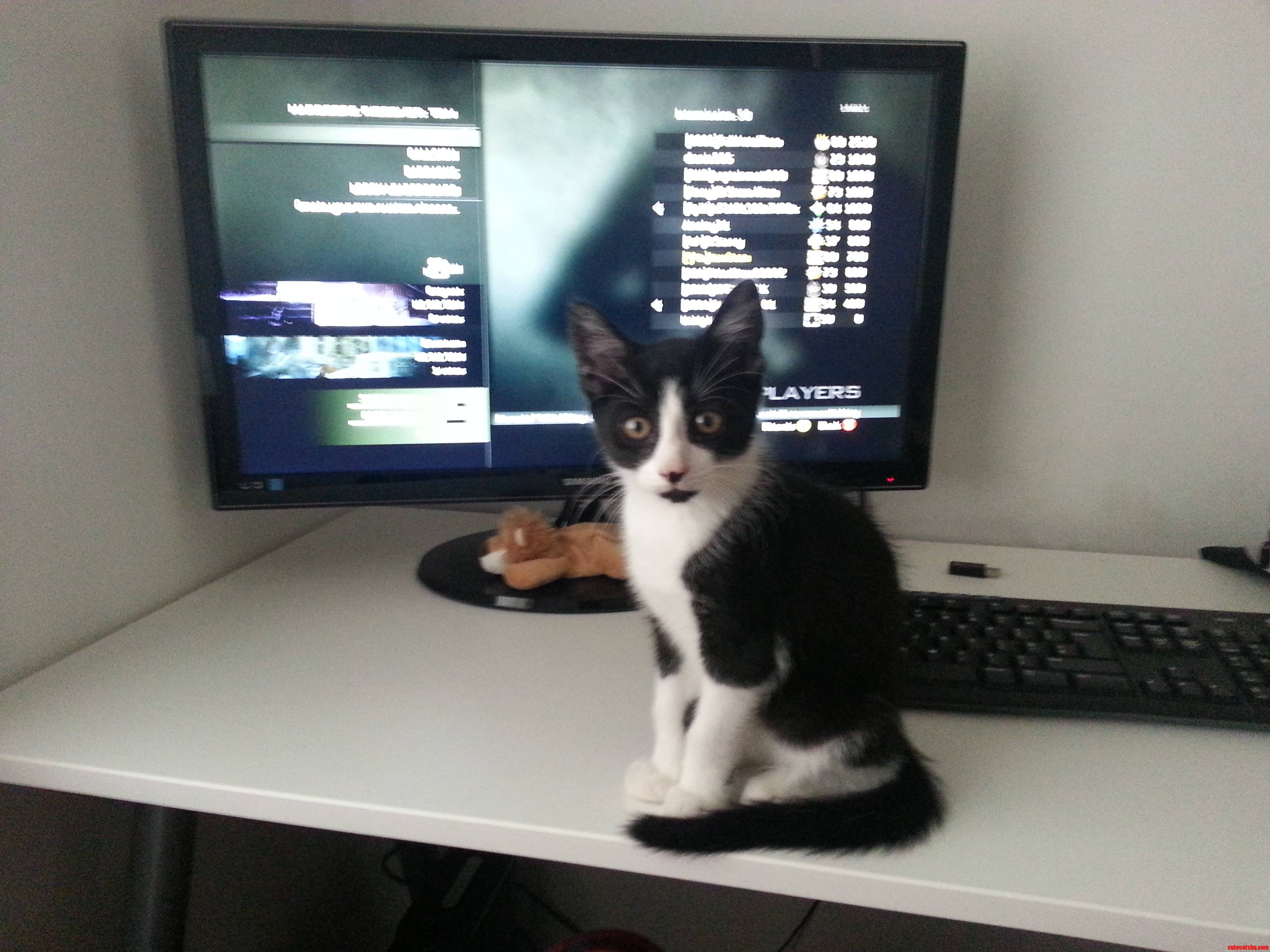 Nope I'm Not Allowed to Play Xbox Either