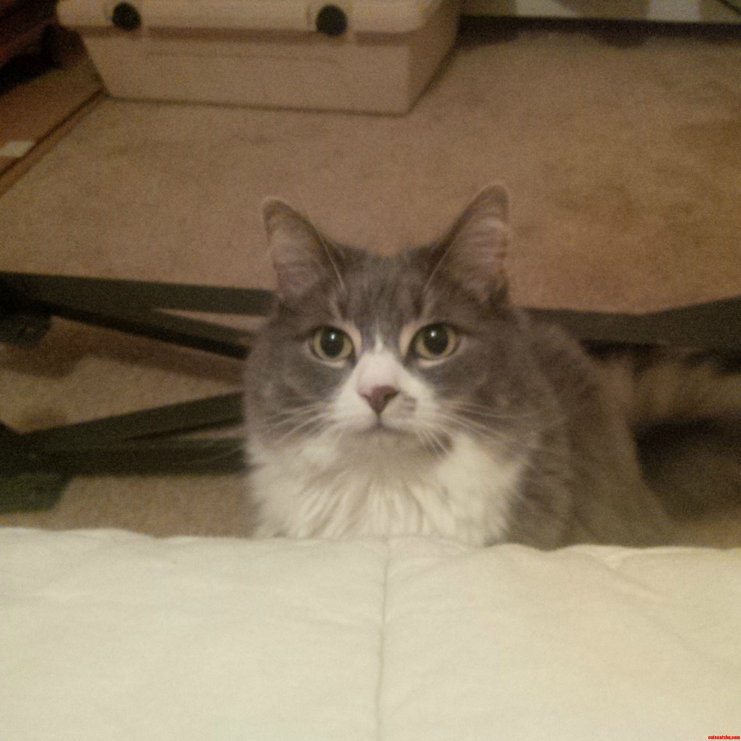 Normally When She Looks Like This  She Wants Something...