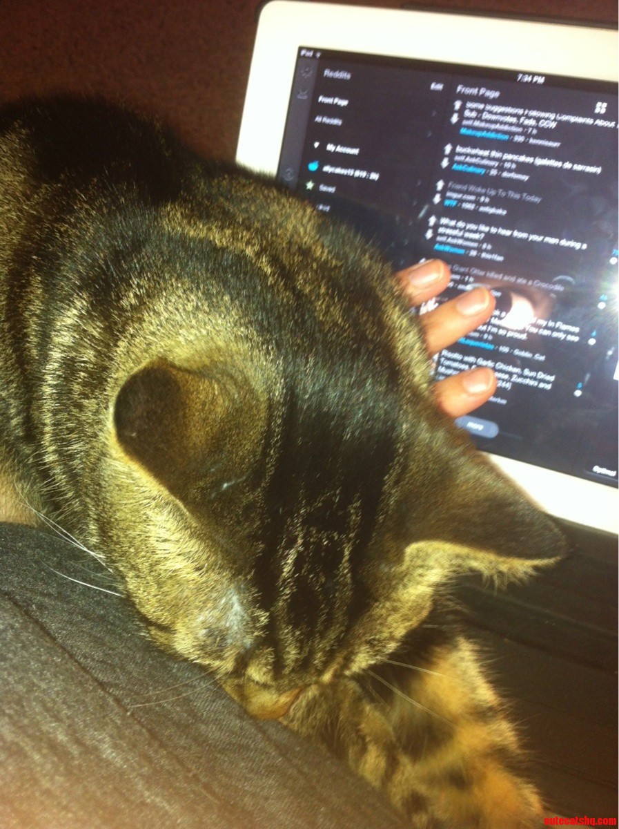 Oh  I M Sorry  Were You Trying to Work