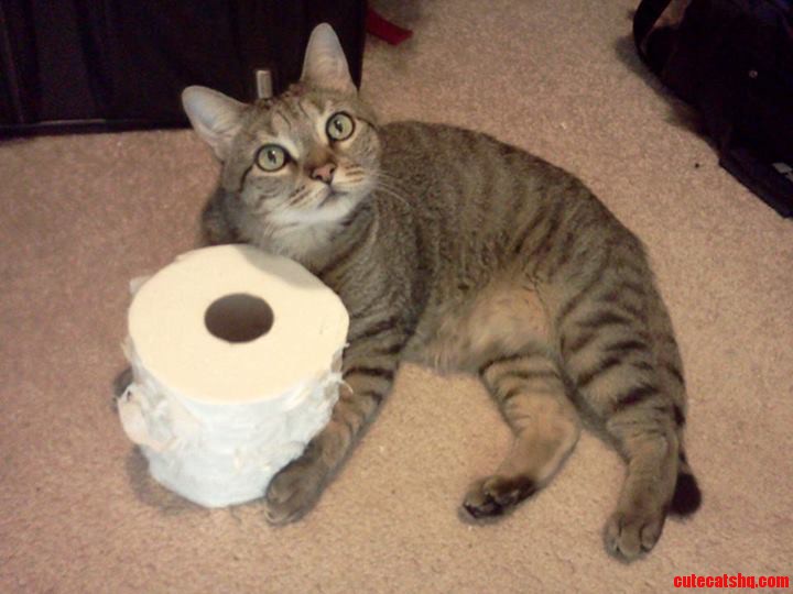 Oh I M Sorry. Did You Need This