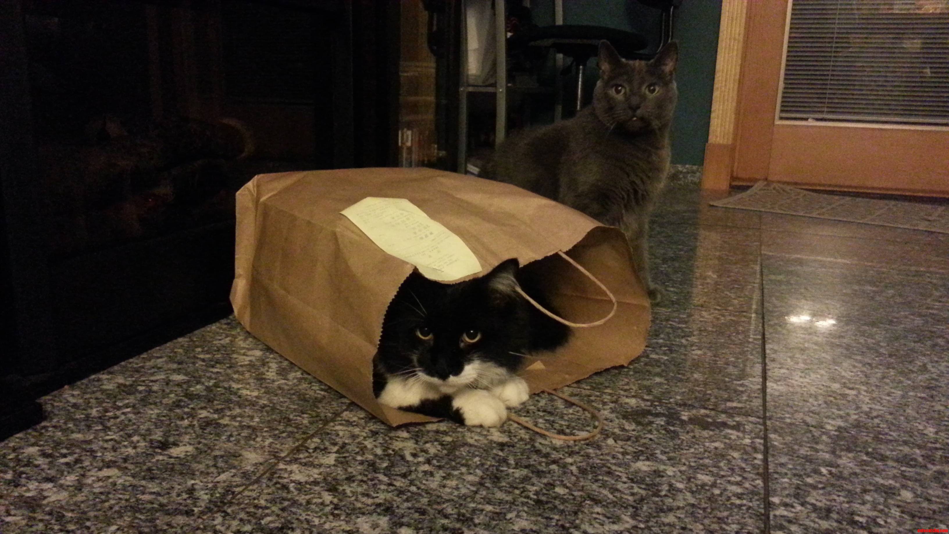 Ordered Chinese Food Tonight