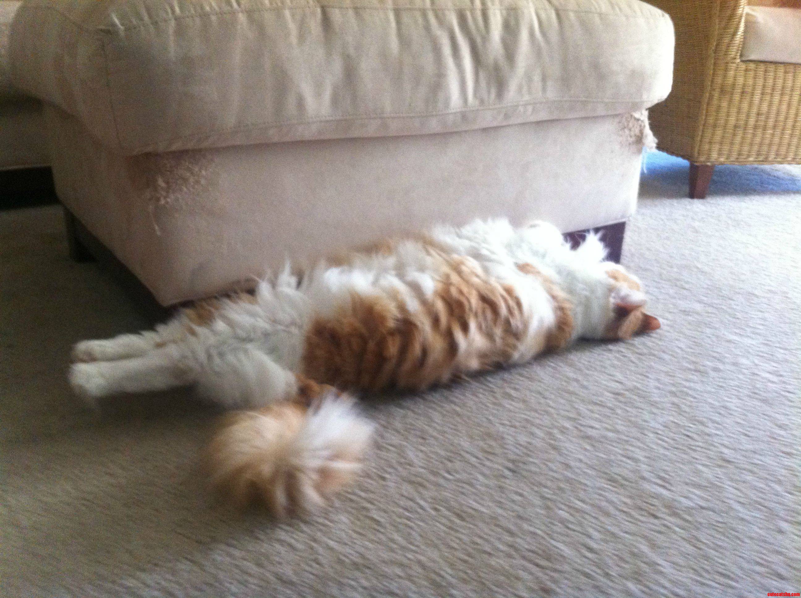 Out Cold.