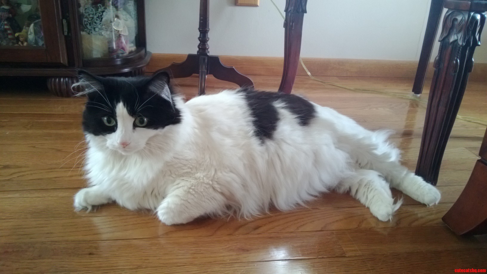 Paint Me Like One of Your French Girls.