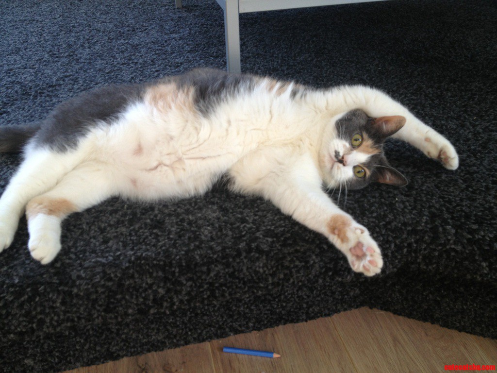 Paint Me Like One of Your French Girls