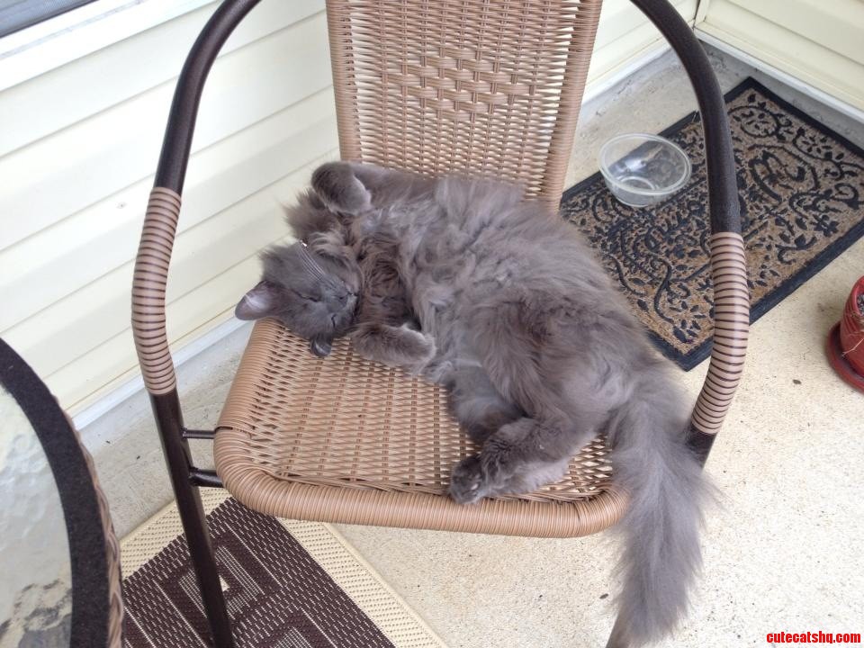 Patio Chairs Were a Good Investment