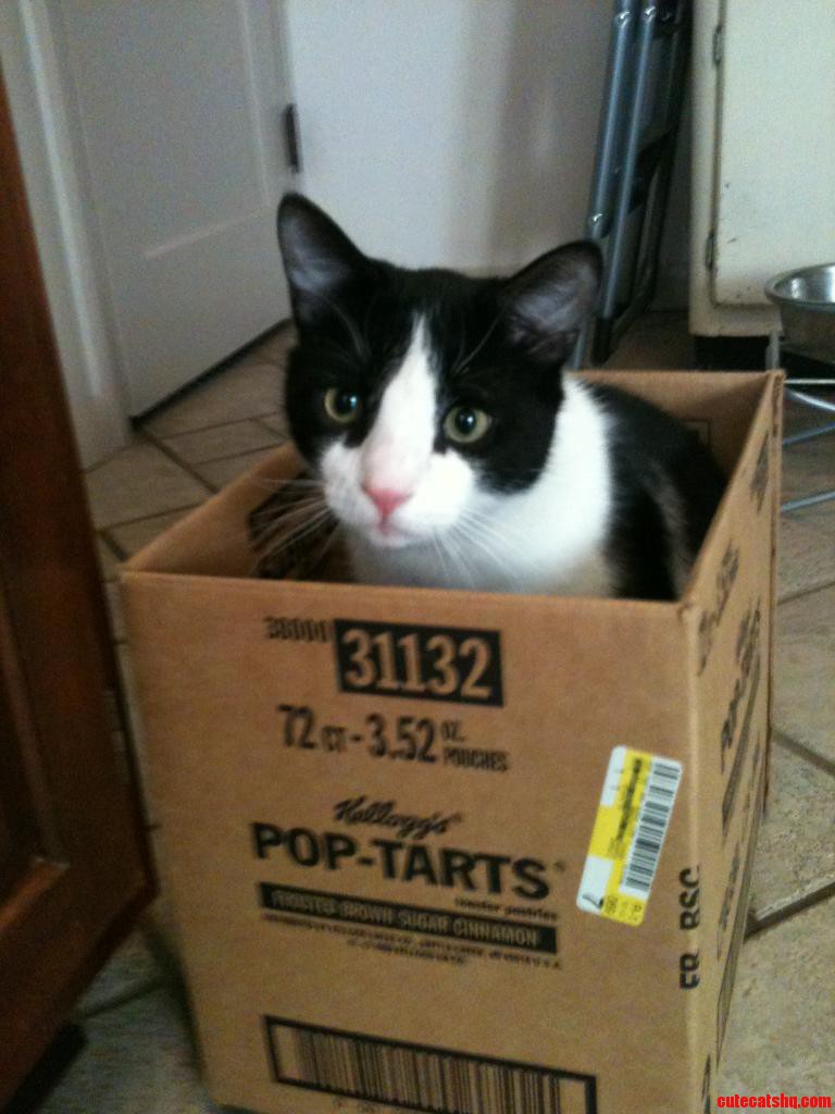 Peterrr and All His Glory.