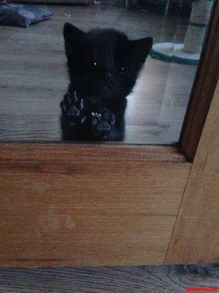 Please Let Me Out