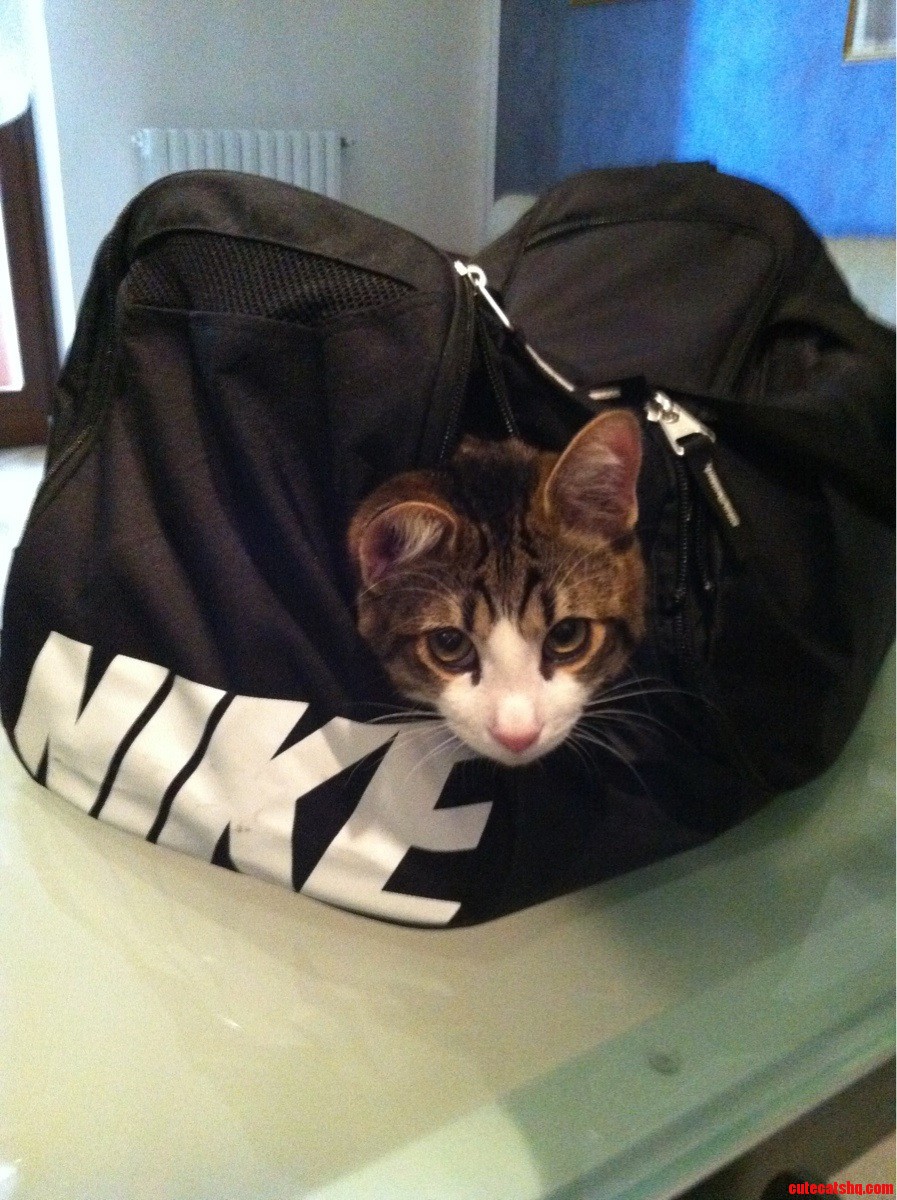 Ready to Go to Gym.