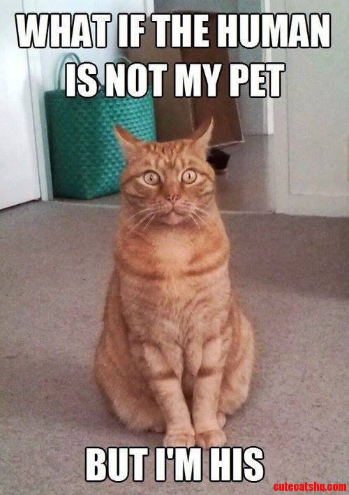 Realization.