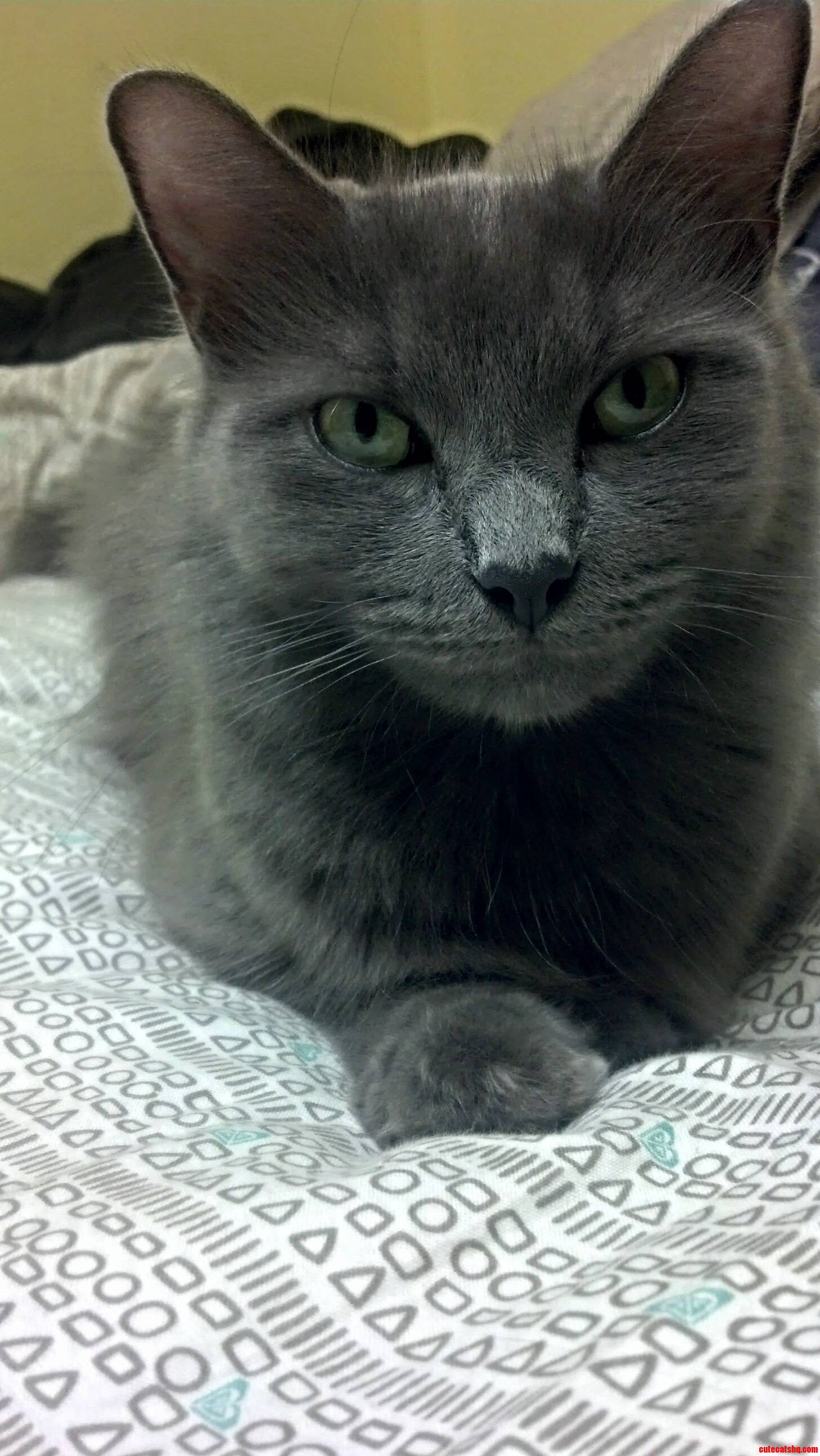 Roxy Is Sleepy