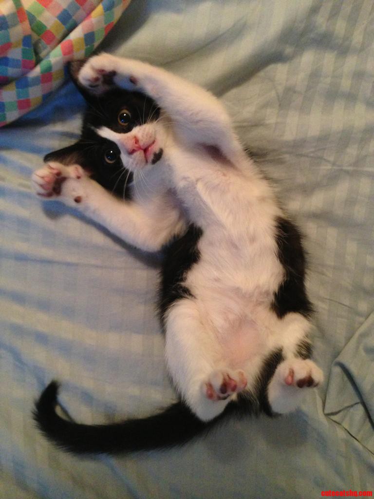 Rub My Tummy