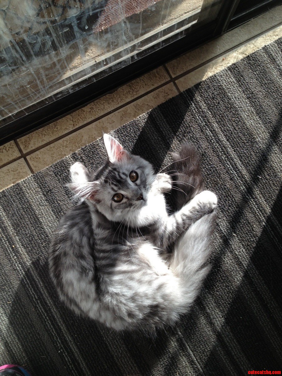 Sat Like This for a While. Looks Comfy