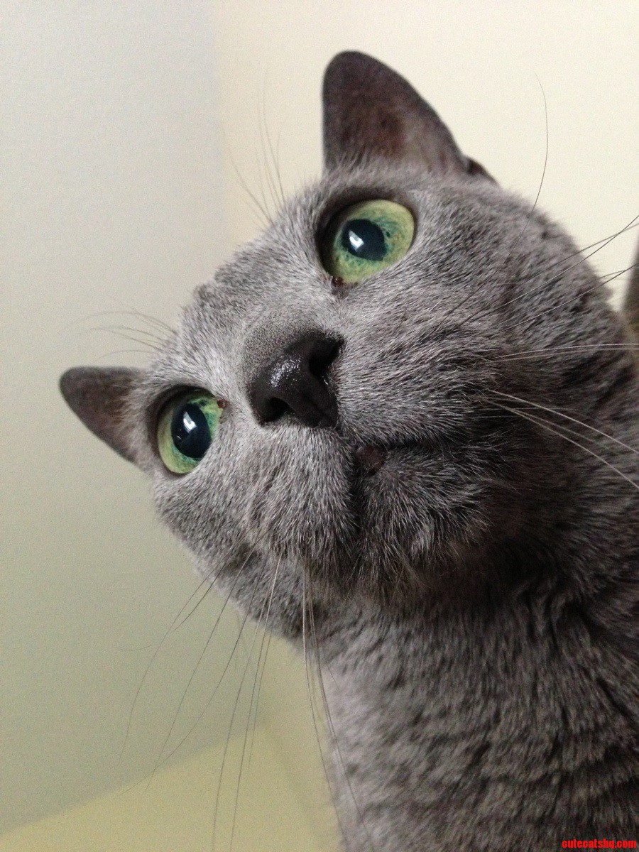 She Gets Prettier Every Day.