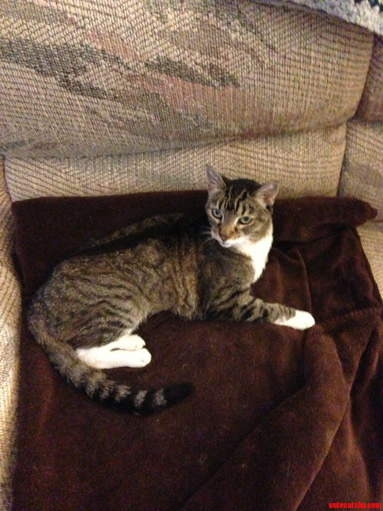 She Is So Glad I M Home...maybe.