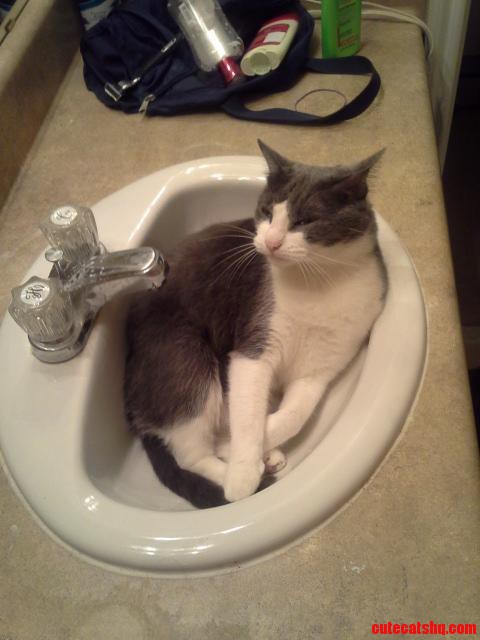 She Is So Smug As She Fits and Sits.