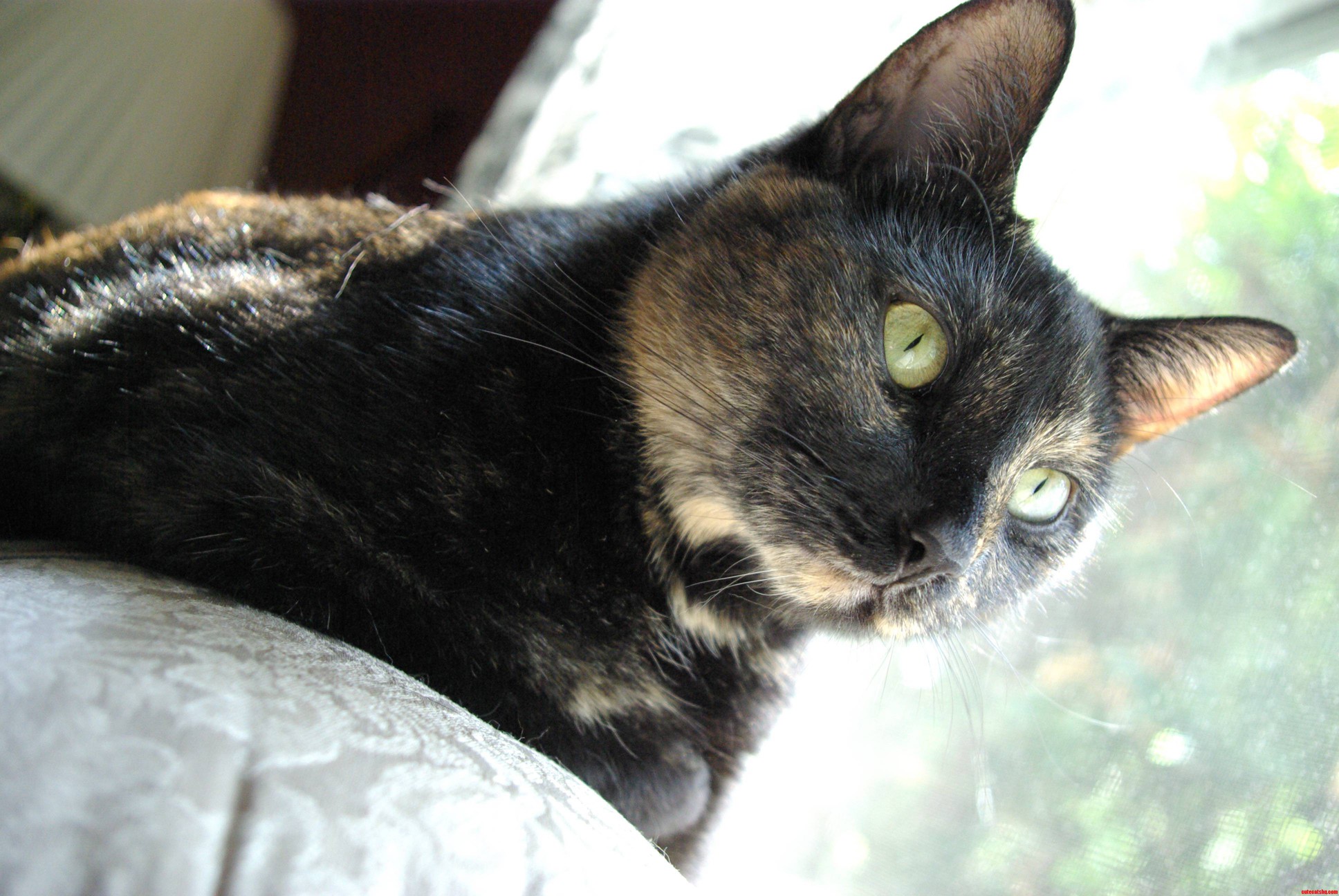 She Might Be a Bit Evil but She S Pretty