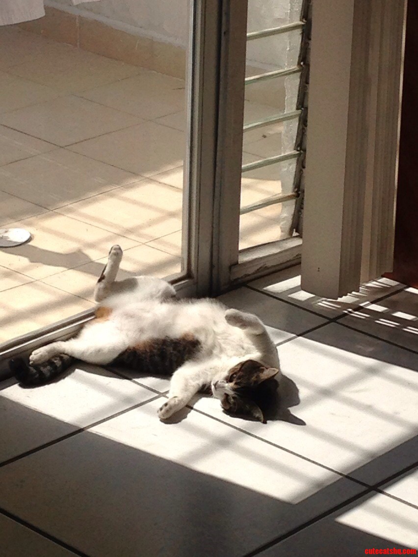 She Really Likes the Sun