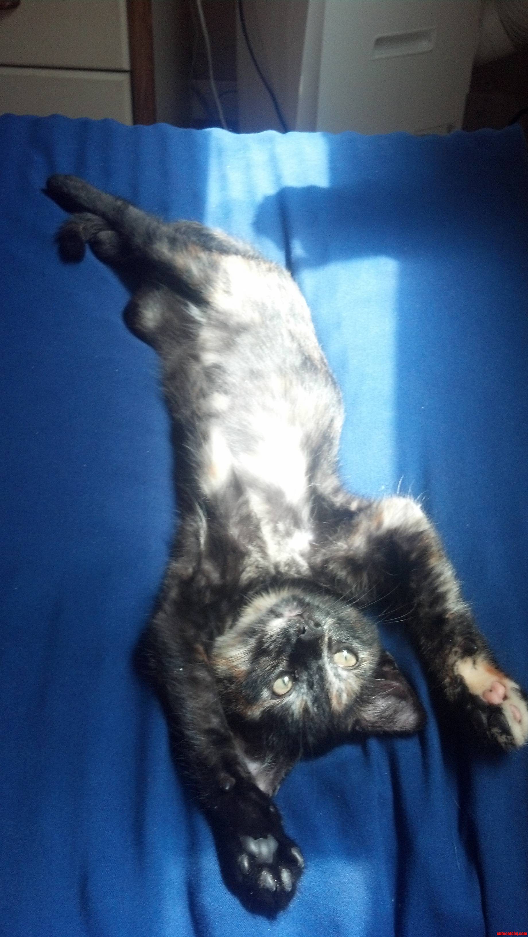 She Thinks She's People...